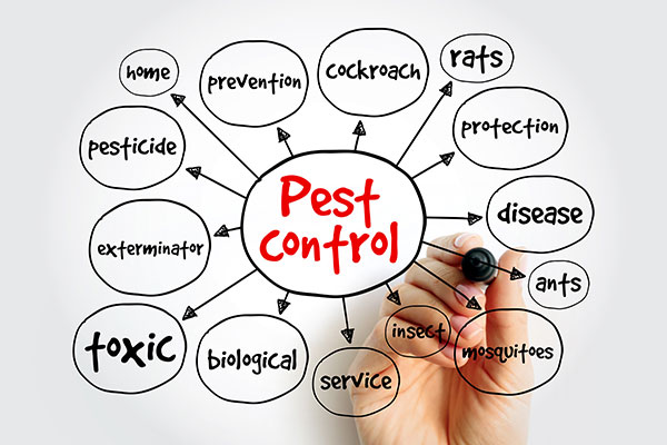 Pest Control Solutions